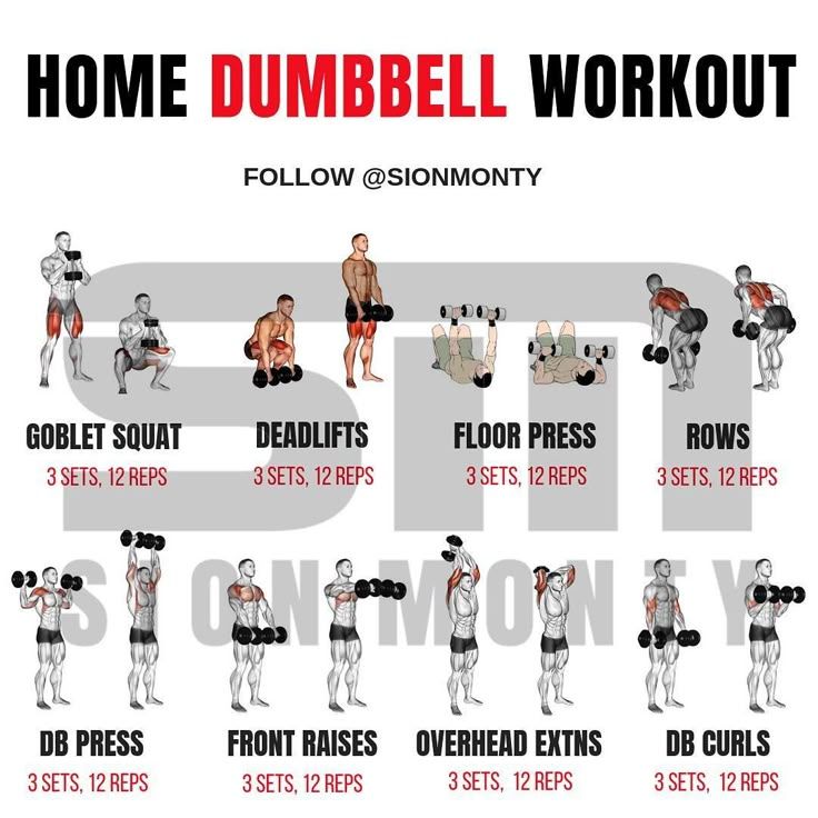 How to Build Muscle at Home with Dumbbells